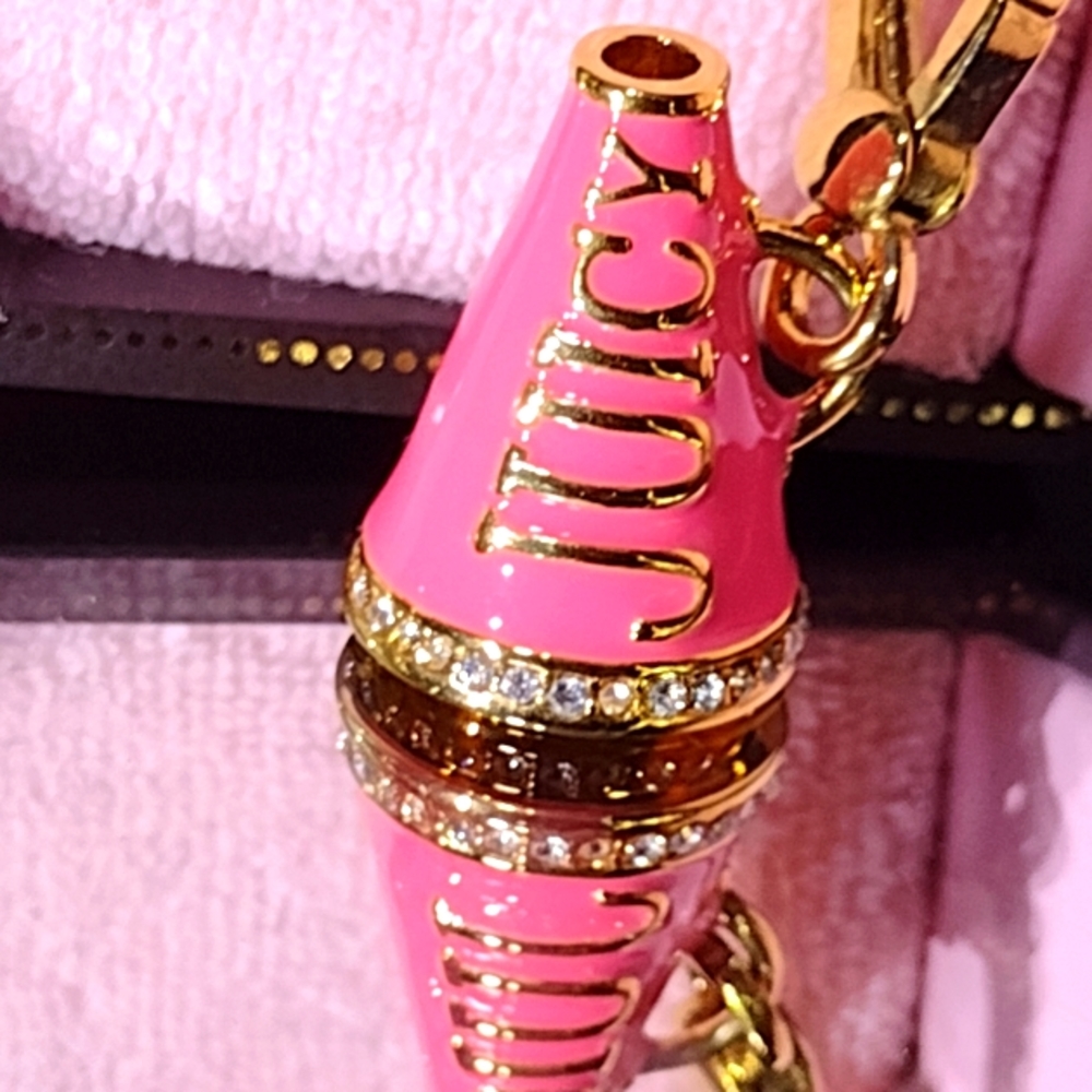AN OFFER OF $120 WINS THIS 📣JUICY Megaphone 📣 ✨ Never Removed From 🎁 NWT